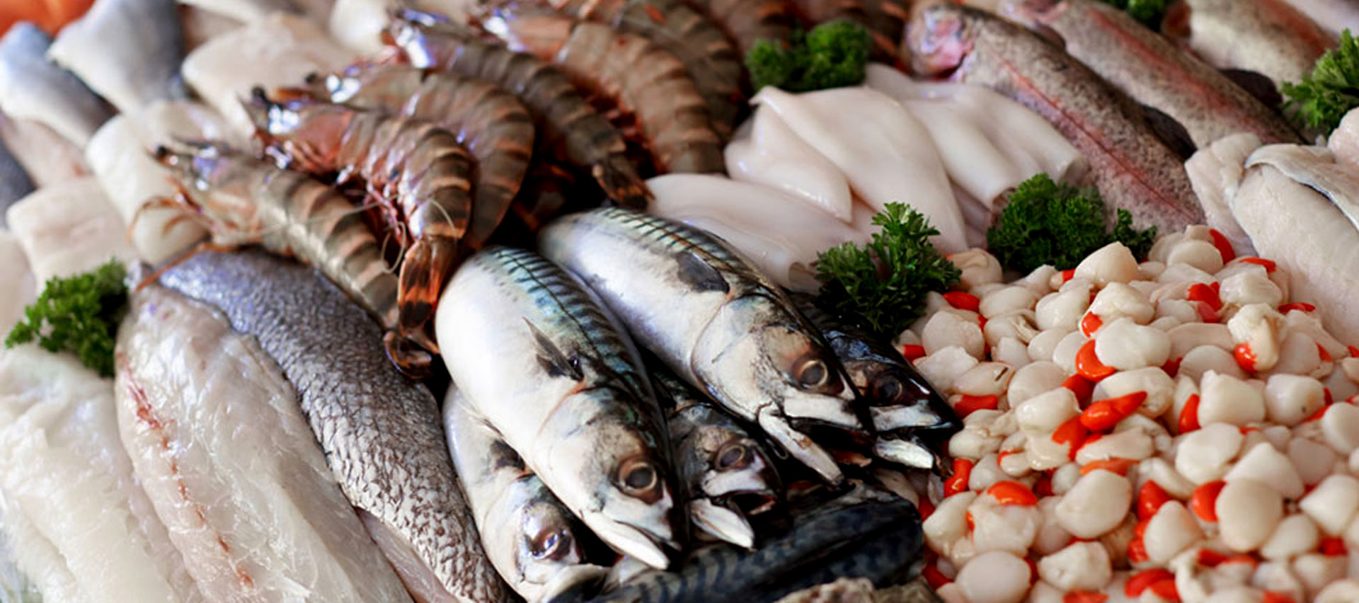 Свежая рыба купить недорого. Рыбные продукты. Рыба в ассортименте. Рыба продукт. Свежие морепродукты.